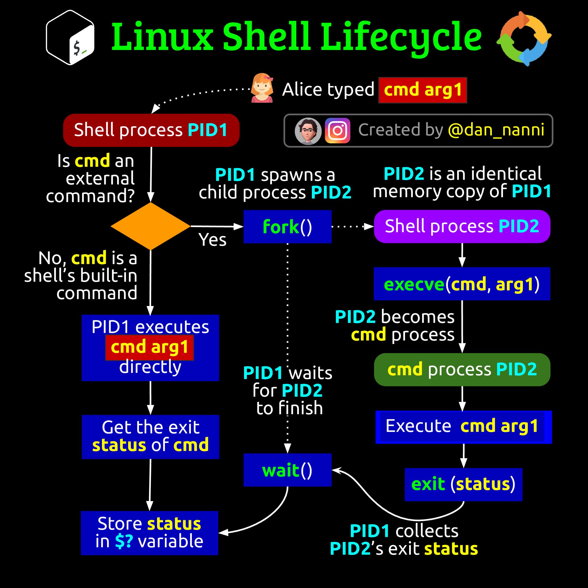 linux_shell_lifecycle.jpeg